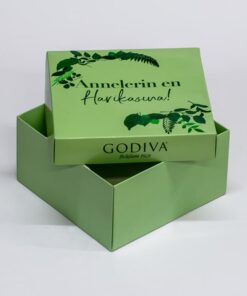 Alternative view of Amerikan Bristol